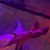 Deborah Williams Bell's profile image