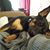 Stephanie Esper's profile image
