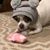 Kimberly Gibson's profile image