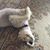 Judith Depew's profile image