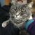 Don McHardy's profile image