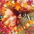 Wendy Bracken's profile image