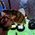 Travis William Billesbach's profile image