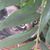 Sharron Hoilman's profile image
