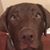 Steph George's profile image