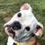 Bill Kren's profile image