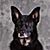 Joseph Caputa's profile image