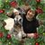 Linda Dobbie's profile image