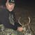 Pat Brodersen's profile image