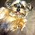 Kathy Bennett Hicks's profile image