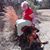 Virginia Choate's profile image