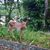 Jan Ebner's profile image