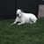 Joan Hooper's profile image