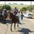 Edson Correia's profile image