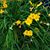 Mary Bowton's profile image
