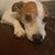 Jose Granados's profile image