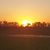 Dawn Leininger's profile image