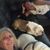 Vicki Neal Miranda's profile image