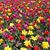 Sonia Gonzalez's profile image