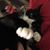 Shirley Miller's profile image