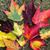 Mary Castine's profile image