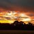 Bob Murphy's profile image