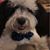 Carla Mitcham Williamson's profile image
