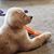 Ellen Ropp Kuhn's profile image