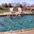 Bonnie Richey Patterson's profile image