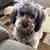 Kathy Gataveskas Petrillo's profile image