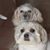 Mel Panozzo James's profile image