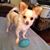 Pat Abel Schley's profile image