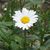 Nancy Girvan's profile image