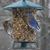Thresa Buel Hof's profile image