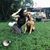 Mary Ashley Muratori's profile image