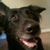 Kodak Wolter's profile image
