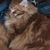 Philip Henry Hull-McClung's profile image