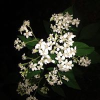 Angela Buckner's profile image