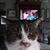 Suzanne Kurily Aupperle's profile image