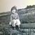 Alison Irish's profile image