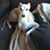Stephanie Eugenio's profile image