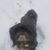 Shelley Durfee's profile image