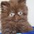 Kelly Krejci's profile image