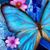 Angie Stuart's profile image