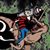 Nick Wilson's profile image