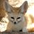 Laura Kurth Ethridge's profile image