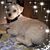 Sandra Schloss's profile image