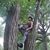 Niyaz Ahmed's profile image