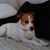 Cindy Reed's profile image
