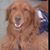 Bob McClain's profile image